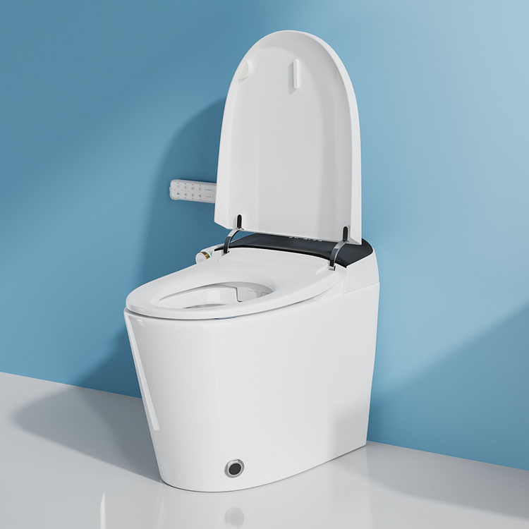 Умный электронный унитаз с авт – обзор и цена Home Bathroom Toilet